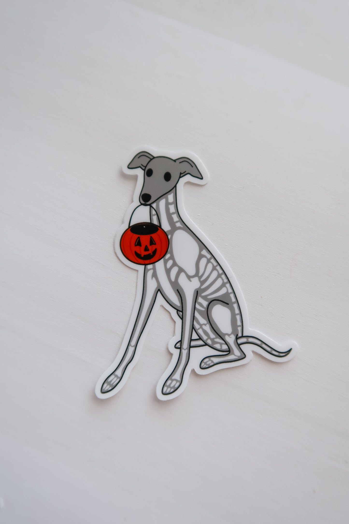 Skeleton Sighthound